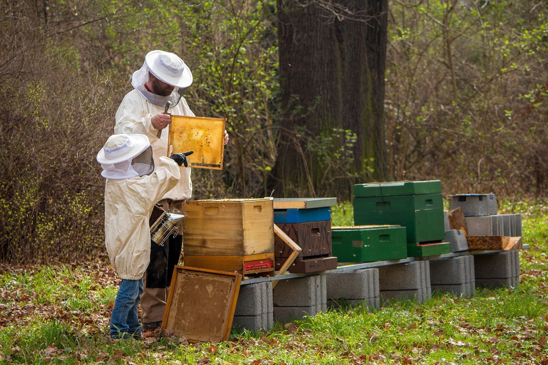 beekeeper-4426003_1920-min.jpg